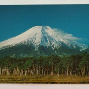 絵葉書 富士山 富士と松林                            の画像1