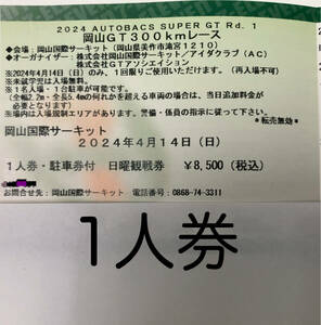 2024 スーパーGT開幕戦 岡山 　駐車場駐車券付 日曜観戦券(1人)