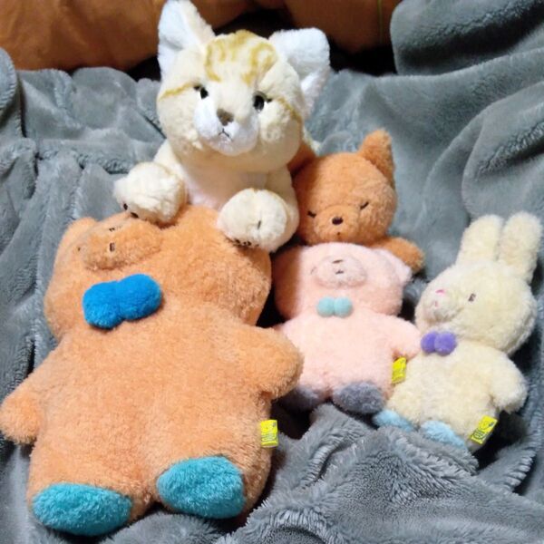 最終値下げ。Sunlemon ふわふわたっとん きつねMサイズ うさぎS くまS サンレモン ふさふさすなねこぐるみ 5点セット。
