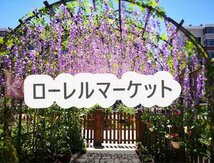 ブルー藤の花 魔除け 造花 インテリア模造藤花つる フェイクフラワー 飾り付け 長さ110CM 壁装飾 花飾り 24本入り ホワイトT2CP80_画像2