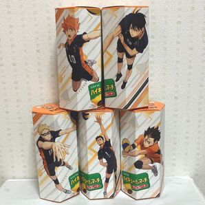 ハイキューのマーチ 烏野セット