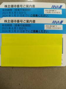 ★ANA 全日空　株主優待券２枚　5/31まで　即決　送料無料　登録用パスワード通知可