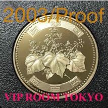 #500円硬貨 #プルーフ貨幣 セット開封品 平成 15 年保護カプセル入り 予備付 2003 proof coin 500 yen 1 pcs #viproomtokyo #バリ危険_画像5