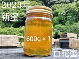 【非加熱・純粋はちみつ】山の花々からとれた濃厚な甘さの百花蜜600g