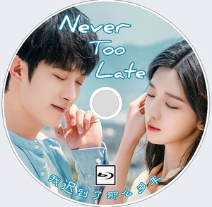 Never Too Late（正常字幕）「トンビ」中国ドラマ「supe」 シャオ・ユー、ヴィンセント・カオ　Blu-ray 