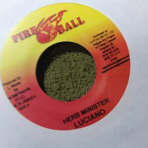 Don't Follow Rumour Riddim Ganja Tune! Herb Minister Luciano from Fire Ballの画像1