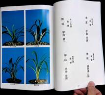 蘭友　21号 平成5年11月　22号 平成6年11月　2冊セット　土佐香南愛蘭会　　YB240221M1_画像5