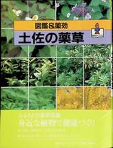 図鑑&薬効　土佐の薬草　高知新聞社　昭和60年4月初版　UA240311M1_画像1