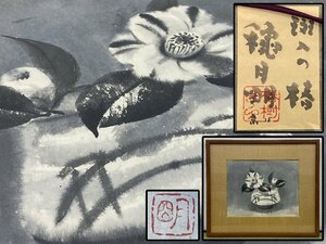 Art hand Auction 真作保証 穐月明 ｢班入れの椿｣水彩画 額装 絵画 書画 骨董品 美術品 5176ugzN, 絵画, 水彩, 静物画