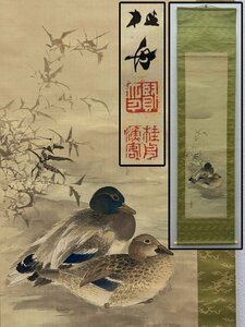 真作保証 羽田桂舟 水鳥の図 合箱 絹本 掛軸 書画 骨董品 美術品 5900lczN