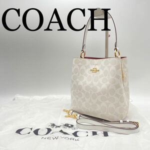 COACH コーチ ショルダーバッグ ハンドバッグ 2way 斜めがけ ホワイト ゴールド金具 シグネチャー 袋付き 極美品