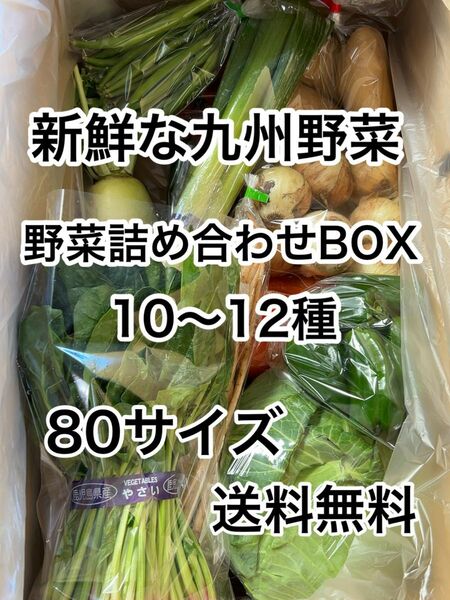 新鮮野菜詰め合わせセット　10〜12種