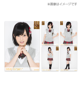 NMB48個別生写真5枚セット 2015.September　山本彩(TeamN)