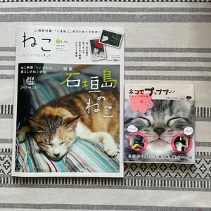 ねこ　猫　写真　本　2冊まとめ売り　3/23迄