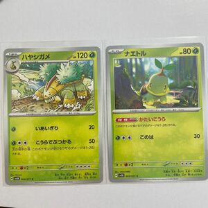 【セット売り】　ポケモンカード かたいこうら　ナエトル　ハヤシガメ