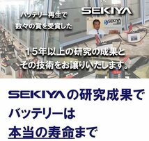 パルス充電器、パルス発生器　１２Ｖ　長寿命、２倍３倍の寿命、フォークリフトバッテリー、電動カート、バッテリー再生_画像9