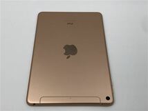 iPadmini 7.9インチ 第5世代[256GB] セルラー au ゴールド【安…_画像7