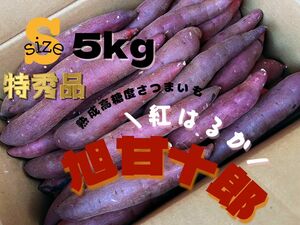 茨城県産 旭甘十郎紅はるか [特] Sサイズ 約5kg 長期熟成さつまいも
