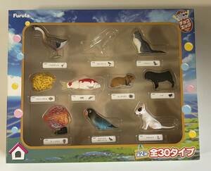 【非売品】フルタ製菓 ペット動物コレクション第2弾 チョコエッグ フィギュアとコレクションボックス【当選品】
