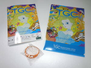 美品　TGC WAKAYAMA 2024 by TOKYO GIRLS COLLECTION　ブレスレット型ペンライト　パンフレット　クリアファイル