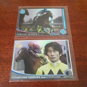  horse racing card * Owner's Horse JEX* jockey z expansion * Shibata ..&yama person Zephyr *