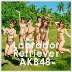 【中古】《バーゲン30》ラブラドール・レトリバー（Type K）（初回限定盤）（DVD付） / AKB48 c2248【中古CDS】