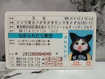 なめ猫 　免許証　ニャン太郎 　又吉　どら吉　チビスケ　当時物_画像2