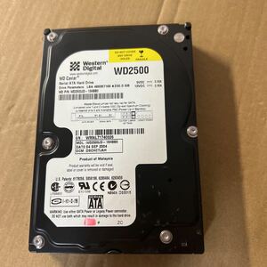 WD 3.5インチHDD WD2500JD-19HBBD 250GB