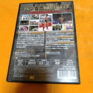 『ブルース・リーを追い求めて』国内正規盤DVD 中古良品 送料込みの画像3