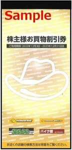 ◆12-10◆イエローハット 株主優待券 (株主お買い物割引券300円×10枚) 10冊set-E◆