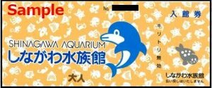 ◆00-01◆しながわ水族館 大人入館券 1枚-G◆