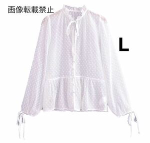 vintage ヴィンテージ レトロ シアー ドット フリル ブラウス トップス Lサイズ レディース★ZARA 好きな方に★2024 S/S 春新作 新品★