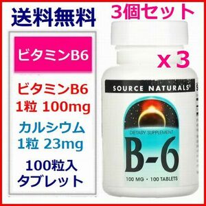 3個セット ビタミンB6 100mg 100粒 ビタミン 動脈硬化 セロトニン GABA サプリメント Source Naturals 