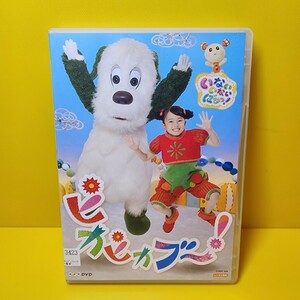 新品ケース交換済み　「NHK DVD いないいないばあっ!ピカピカブ～!」