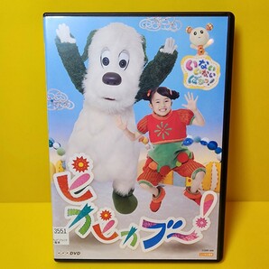 新品ケース交換済み　NHK いないいないばぁっ！ピカピカブ〜 DVD