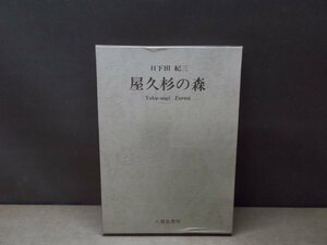 【写真集】屋久杉の森 日下田紀三 八重岳書房