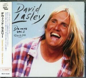 AOR/Blue Eyed Soul■DAVID LASLEY / Demos Vol.2 :Take A Look (2005) 廃盤 Luther Vandross共演!! 極上のデモ集第二弾!! Light Mellow