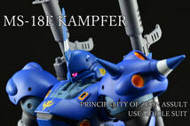 MG MS-18E KAMPFER 全塗装・完成品　ケンプファー_画像1