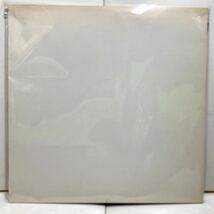 【極美品 見本盤 白ジャケ？】Waku Waku / 大江千里 【LP アナログ レコード 】_画像8