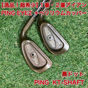 超希少　EYE2 ＋　ベリリウムカッパー　1番2番アイアン　PING ピン　名器