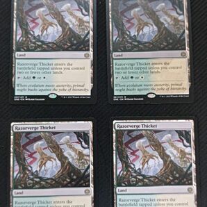 (257)《剃刀境の茂み/Razorverge Thicket》[ONE] MTG 英語