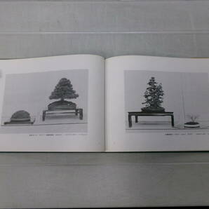 L2356ま 秋雅展 小品盆栽席飾集3冊＋東北盆栽展2冊 たわみ、シミ有の画像7