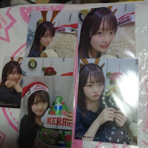 　AKB48【山根涼羽】netshop限定　2020.12vol.1 5枚セット　生写真 