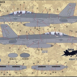 1/48 ファーボールデカール EA-18G グラウラー (3)の画像4