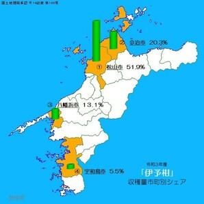 全国送料無料 3月店頭普通サイズのL玉 5kg箱にぎゅうぎゅういっぱい 弥生紅になれなかった家庭用いよかん 伊予柑 愛媛中島産 50の画像2