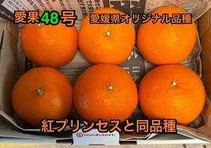 3箱限定　愛媛県限定栽培みかん　紅プリンセスと同品種　愛果48号　ゆうパケットプラスで全国送料無料　①