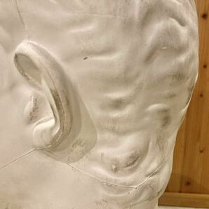■石膏像 青年ブルータス 胸像 高さ53cm デッサン 画材 美術教材 置物 インテリア ディスプレイ オブジェ 什器 アパレル 絵画教室■の画像7