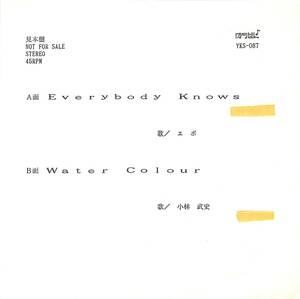 h1269/EP/見本盤/白ラベル/エポ/小林武史/Everybody Knows/Water Colour