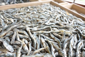 Setouchi Anchovy Haddle кипятит 500 г