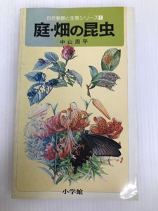 庭・畑の昆虫: 昆虫 1 (自然観察と生態シリーズ 1) 小学館 中山 周平